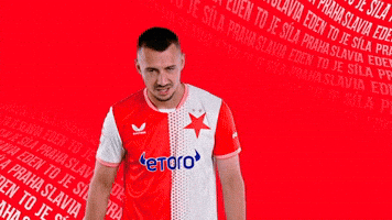 Football Celebration GIF by SK Slavia Praha