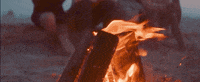 Goodday GIF by Surfaces