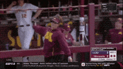 minnesota softball GIF by NCAA Championships