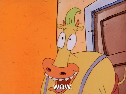 rockos modern life nicksplat GIF