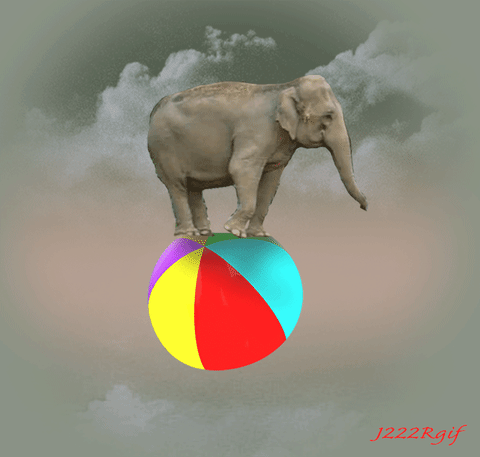 ball elephant GIF