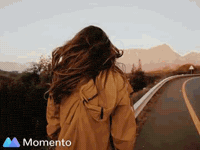 TheFilmFactory vmn vergeetmyniefliek vergeetmynie thefilmfactory GIF