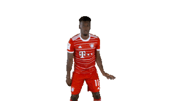 Football Win Sticker by FC Bayern Munich