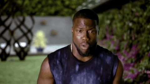 season 3 bet GIF by Real Husbands of Hollywood