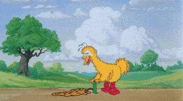 Big Bird Cartoon GIF by Muppet Wiki