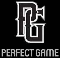 Perfect Game Baseball GIF by Ozball
