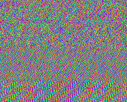 loop 12 colors GIF by Kim Asendorf