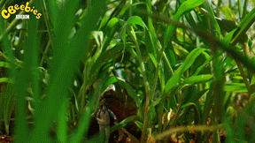 Wild Life Forest GIF by CBeebies HQ