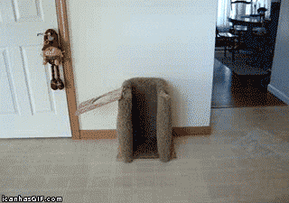 dog eating GIF