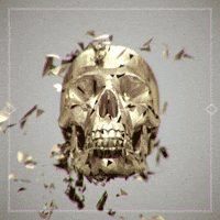 Gold Skull GIF by Gifmk7