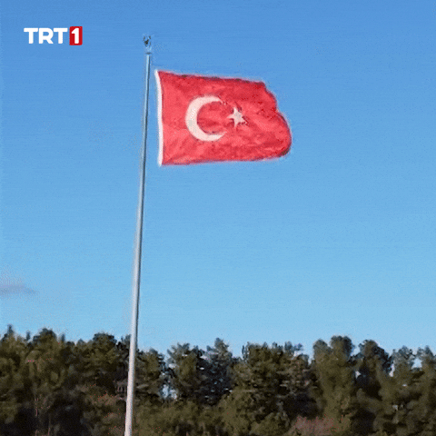 Turkey Turkish GIF by TRT