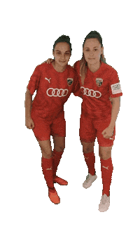 schanzerinnen frauenfussball nichtohnemeinemädels schanzerinnen 2 frauen bundesliga Sticker