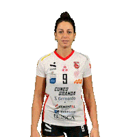 Sport Team Sticker by cuneo_granda_volley