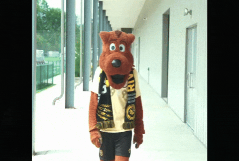 Amo GIF by Pittsburgh Riverhounds SC