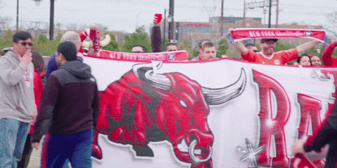 red bulls ii supporters GIF by NYRB II