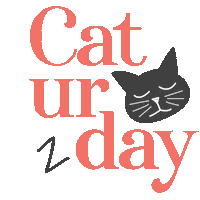 Cat Sleep Sticker