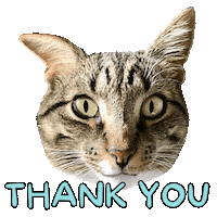 Thanks Thank You Sticker