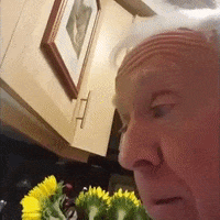 Leslie Jordan GIF by Alissandra