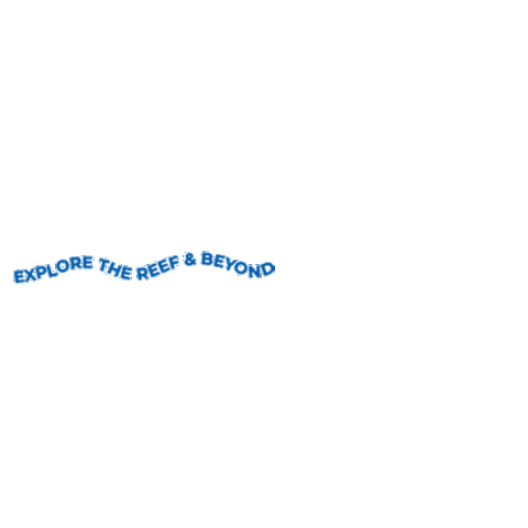 Explore Merry Christmas Sticker by Experience Co