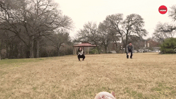 The Ultimate Dog Loyalty Test
