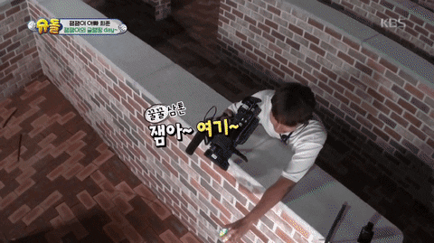 ehdgus1211 giphyupload GIF
