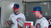 Chicago Cubs Sport GIF by MLB