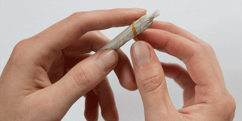 joint GIF
