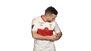 Vfb Stuttgart Baby Sticker by Bundesliga