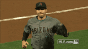 aj fives GIF by MLB