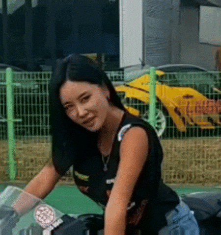 Dudgey GIF