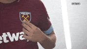 celebrate premier league GIF by BT Sport