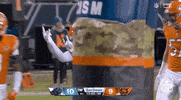 National Football League GIF by NFL