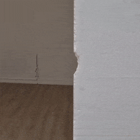 Monte Sdy GIF by BLAST