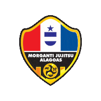 Martial Arts Fight Sticker by Morganti Ju-Jitsu