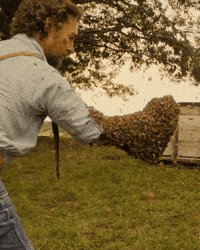 Matthew Mcconaughey Queen GIF by Black Bear Pics