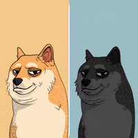 Shiba Inu Illustration GIF by Doge Pound