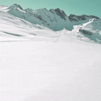 Cibdolforyouforlife  GIF