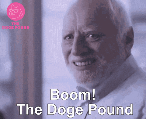 Elon Musk Nft GIF by The Doge Pound