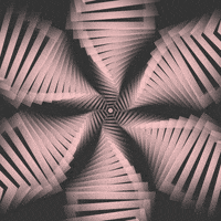 GIF by Borrachas