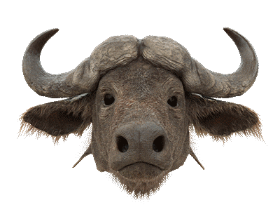 Robots Buffalo Sticker by Woodblock