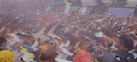 Sport Racing GIF by W Series