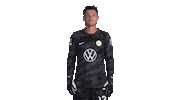 Pavao Pervan Thumbs Up Sticker by VfL Wolfsburg