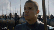 gameofthrones game of thrones hbo season 7 finale GIF