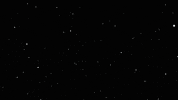 bettermarketing_firm marketing better firm bettermarketingfirm GIF