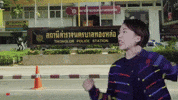 softpomz GIF