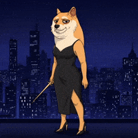 Shiba Inu Night GIF by Doge Pound