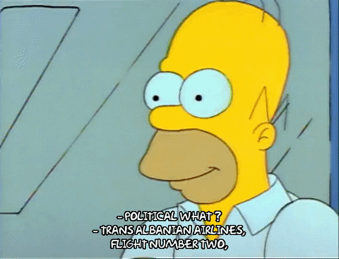 Season 1 GIF by The Simpsons