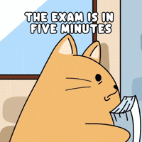 Cramming Student Life GIF by MESA My Emotional Support Animal