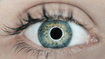 Pixel Watching GIF by MockoFun