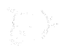 Baby 赤ちゃん Sticker
